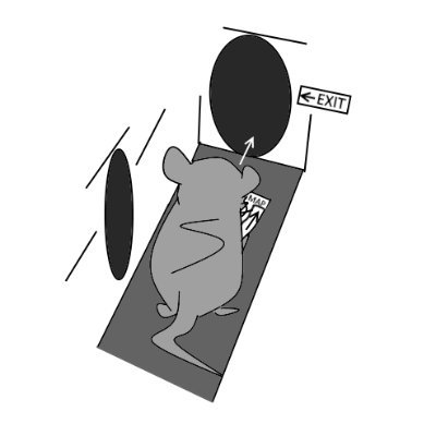 NovaNull1's profile picture. NOVA＞NULLです。
blenderで3DCGモデル/アニメーションを制作しています。
BOOTHマーケットにて3DCGモデル販売中。
blender-CG modeling collection