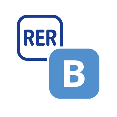 RER B Profile