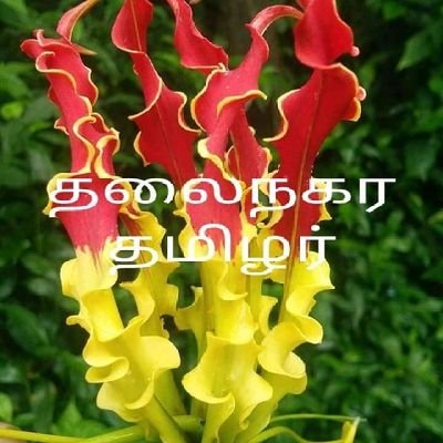 ✍அரியது அரியது மனிதராய் பிறத்தல் அரியது👌 அதனினும் அரியது தமிழராக வாழ்வது அரியது👍மனிதம்🤝மனிதரிடம் மண்டியிட்டு🙈🙉🙊கிடக்கிறது?