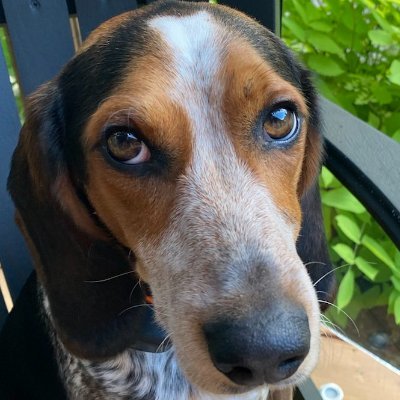 Colezee17's profile picture. Proud Father, Hockey Dad, Entrepreneur