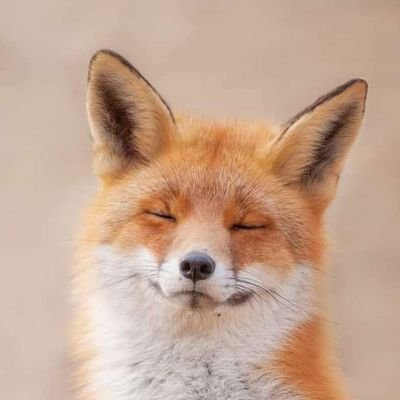 MaureenZaituna's profile picture. Simply authentic.