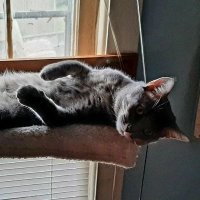 Kevin Biddle (@biddlekevin) 's Twitter Profile
