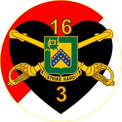 The 3rd Squadron, 16th US Cavalry Regiment “Blackhearts” forges functional skills to train excellant leaders to enable readiness across the operational force.