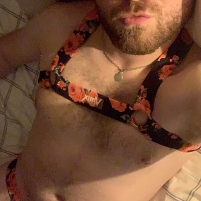 B8rWo1f's profile picture. just a muscle pup in training.  working on getting big as a goon my brains out.