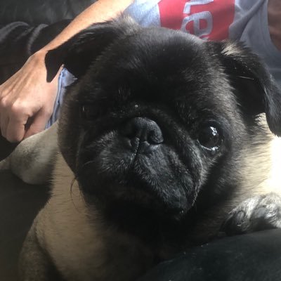 annemariemcabn1's profile picture. 