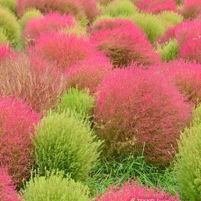 A09778351's profile picture. 