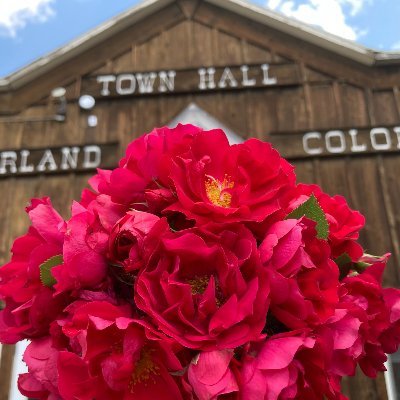 The Town of Nederland is in the mountains of Boulder County, CO. This account maintains news for press and town residents.