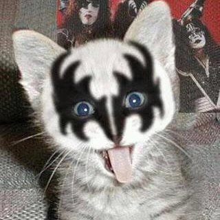 Sornette_Jedis's profile picture. Moins il y a de gens qui me lisent, mieux je me porte...