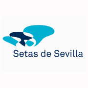 Setas de Sevilla