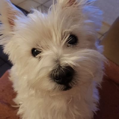 -privater Account-
interessiert am Weltgeschehen, so dies und das
