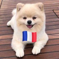 Taspio Francês 🇨🇵 (@taspiofrances) 's Twitter Profile