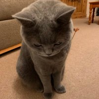 Yuko@眼瞼痙攣リカバリー (@opotunitymine) 's Twitter Profile