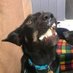 Bobson Dugnutt Esq. (@mr_a_n_onymous) Twitter profile photo Bobson Dugnutt Esq. (@mr_a_n_onymous) Twitter profile photo