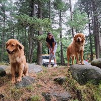 Sukriti (@sukritic1) 's Twitter Profile