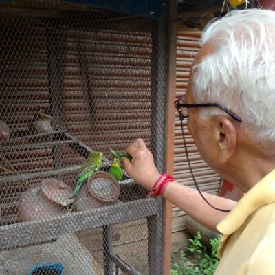 dushyantdel's profile picture. 