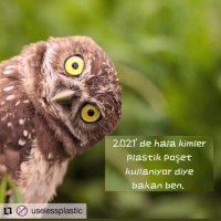 Berrak Sulaki (@berraksulaki) Twitter profile photo