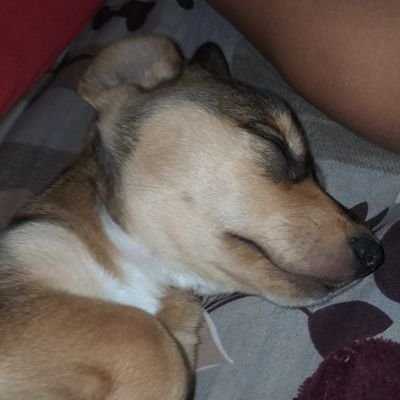 vinay93195793's profile picture. https://t.co/Py9H89EsLQ