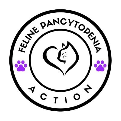 Fighting for answers for the hundreds of cats that have died in recent months from pancytopenia suspected to be linked to their diet