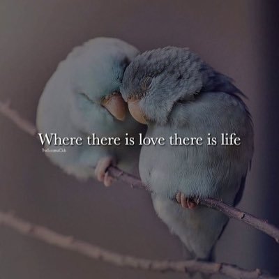 mel_bangsta's profile picture. Am n optimistic, smart, humorous lady and a mother to n amazing daughter💋