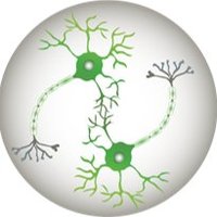 CRS Nervous System Delivery (@crs_fg_nervous) 's Twitter Profile