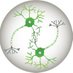 CRS Nervous System Delivery (@crs_fg_nervous) Twitter profile photo CRS Nervous System Delivery (@crs_fg_nervous) Twitter profile photo