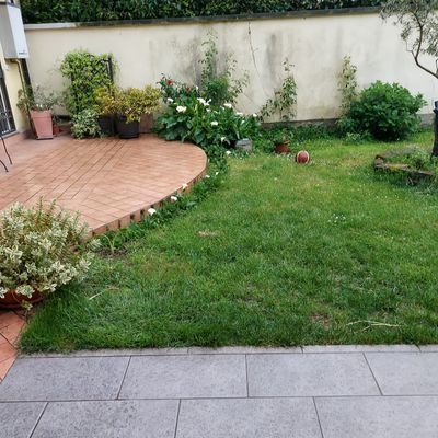 Frank5915's profile picture. L'animo