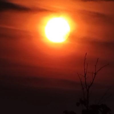 hunterludwig21's profile picture. Just living life
HCHS '24
Boys Tennis