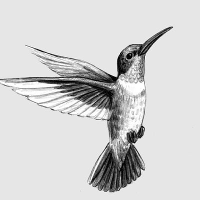 LetThereBeWill's profile picture. Unos corren tras la liebre, y otros sin correr la alcanzan.