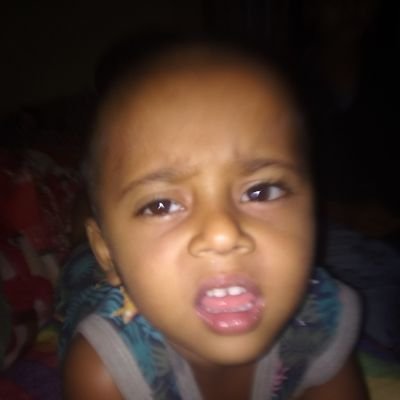 Shimul Korim Profile