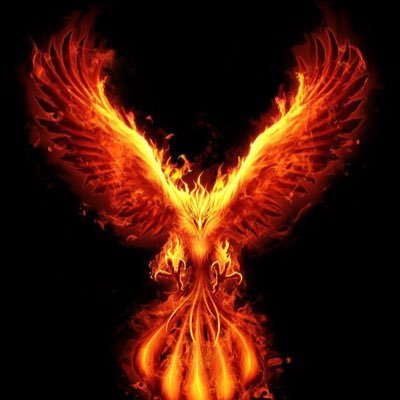 alex92306165's profile picture. 