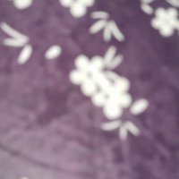 Hirimbo Basumatary (@hirimbobasumat2) 's Twitter Profile