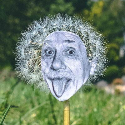 Rudy Willingham Profile