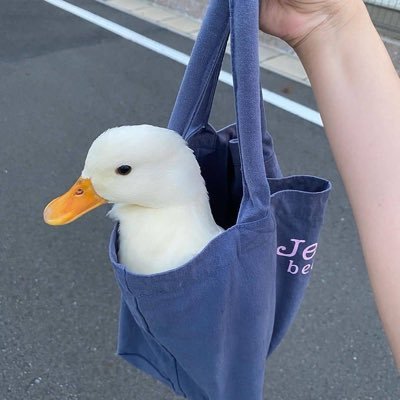 Hさんのプロフィール画像