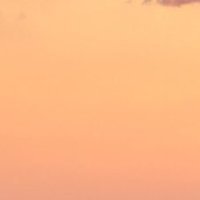 yuui (@yuui96078218) 's Twitter Profile Photo