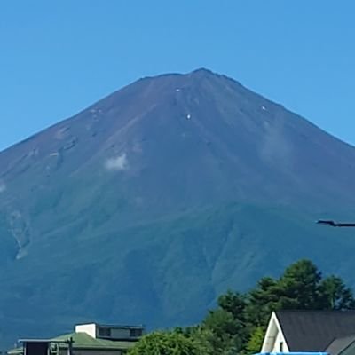 美味しいもの食べたい