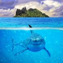 Connor Killion - @connor_killion - Twitter