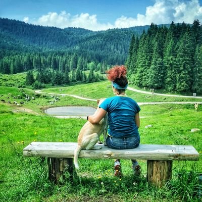 MelissaMarigo's profile picture. 