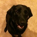 Terry O'neal - @TerryOneal1943 - Twitter