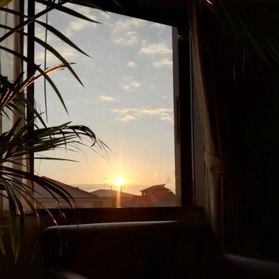 _t_w_i_m_c_'s profile picture. hi there 👋🏽