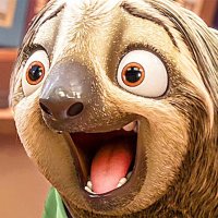 PGecko79 🦥 (@pgecko79) 's Twitter Profile