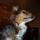 Alyssa Barber - @alyjobrbr - Twitter