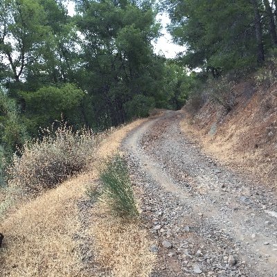 diaz_juanjose's profile picture. 