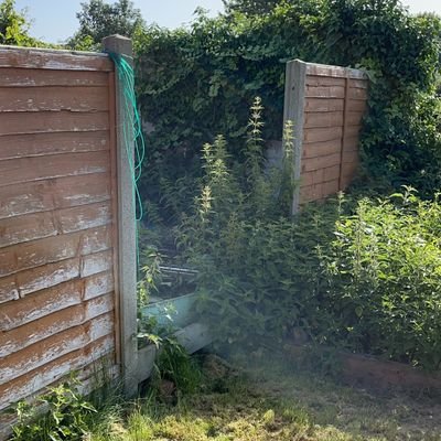 Tweeting @ Eddie everyday to fix his fence.