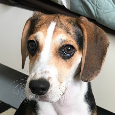 donowen4's profile picture. 