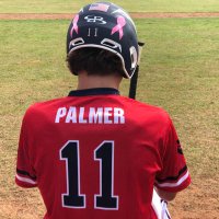 Andrew Palmer (@11andrewpalmer) 's Twitter Profile