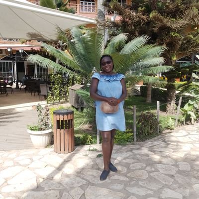 stereoi's profile picture. 