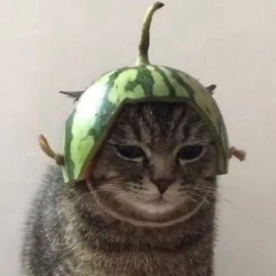 M Vampetteishere Twitter