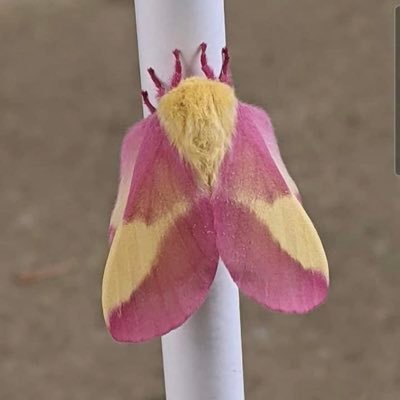 Judh14184918's profile picture. 