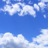 Amy Campbell (@hpewithmsc) 's Twitter Profile