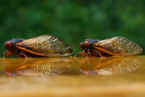 RachelJouma's profile picture. Wife, mom, have 8 great kids and the best husband ever!